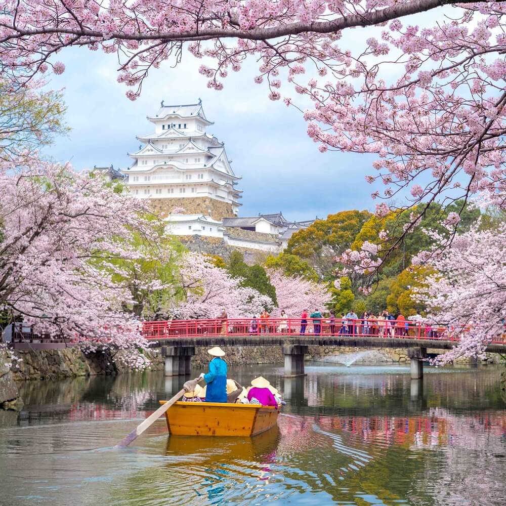 Japonya Sakura Turu