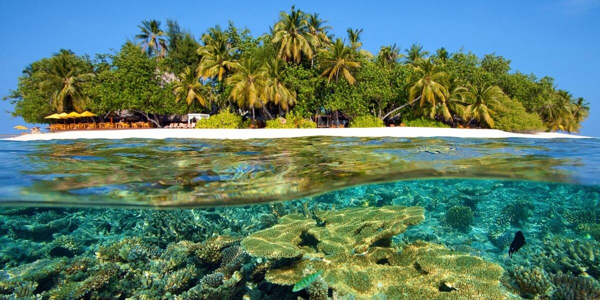 HP Reef Maldivler
