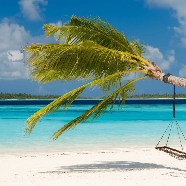 Ayada Maldives beyaz kumlu sahili