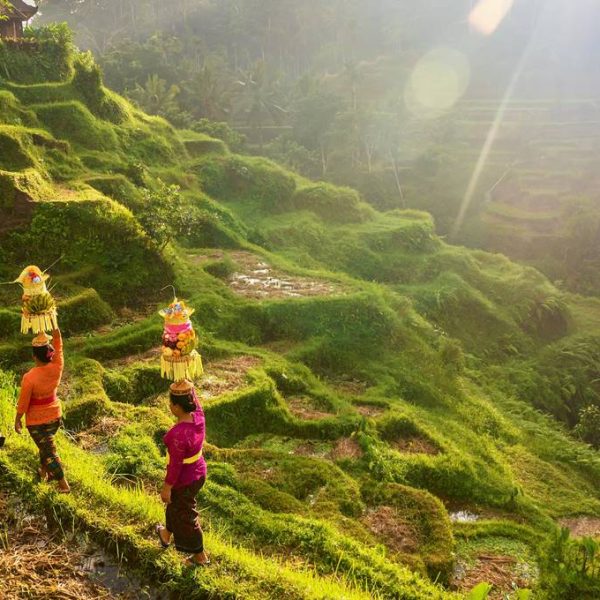 Ubud Gezi Rehberi