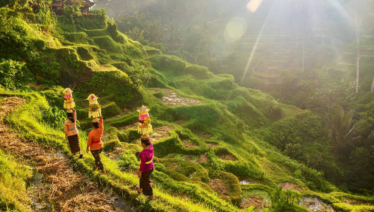 Ubud Gezi Rehberi