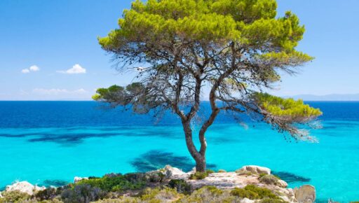 Halkidiki Gezi Rehberi