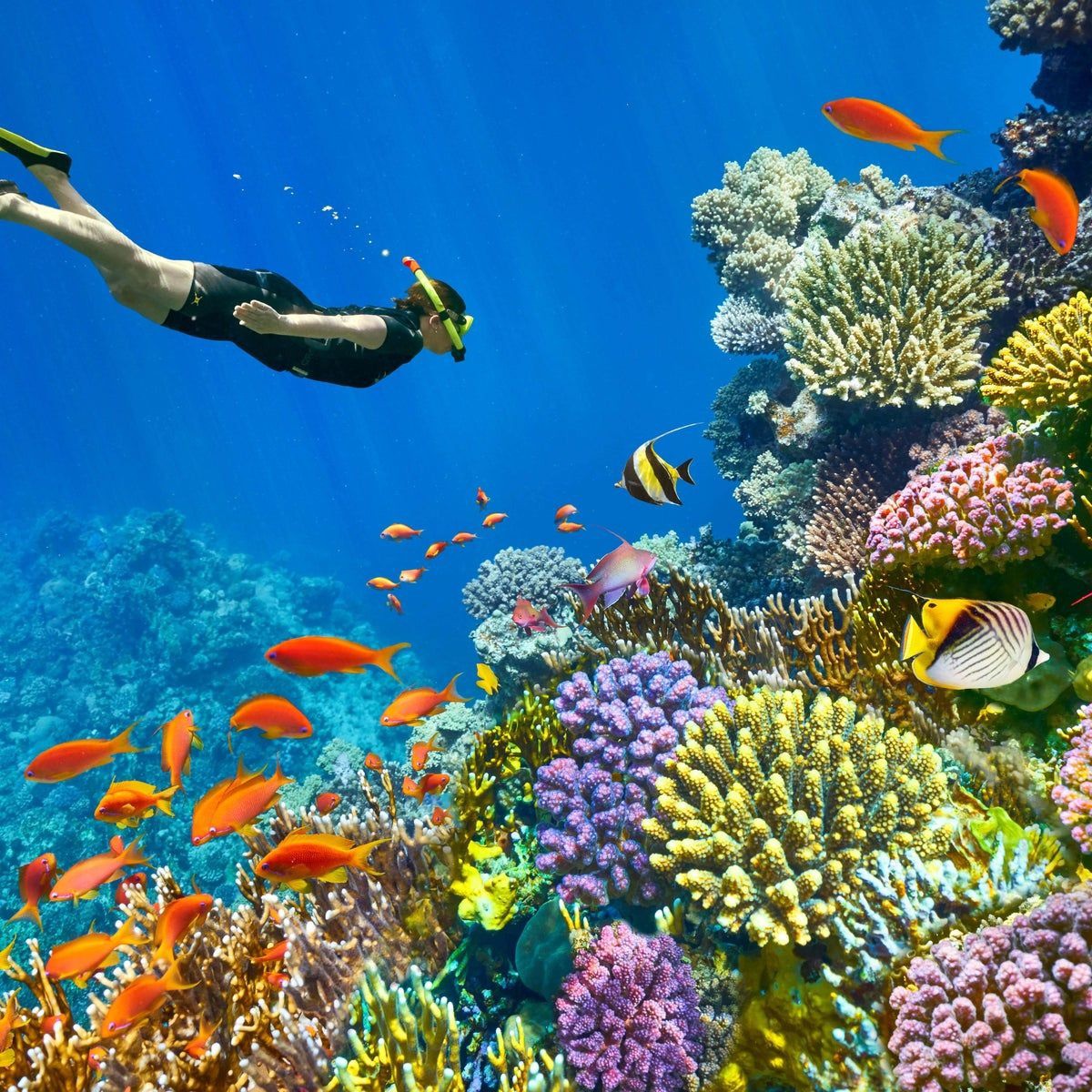 sharm-el-sheikh-06