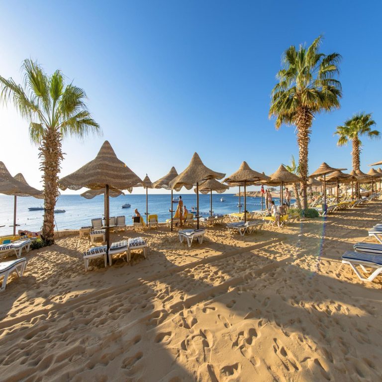 Sharm El Sheikh sahilinde palmiyeler ve plaj şemsiyeleri