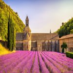 Provence Turu