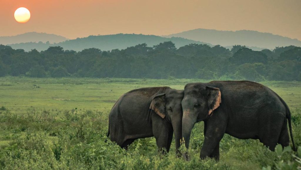 Sri Lanka