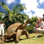 Oberoi Beach Resort Mauritius - Görsel 16