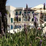 Rose Bay Hotel Santorini bahçe ve dış oturma alanı