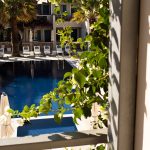 Rose Bay Hotel Santorini havuz, palmiyeler ve şezlong dizilimi yakın kadraj