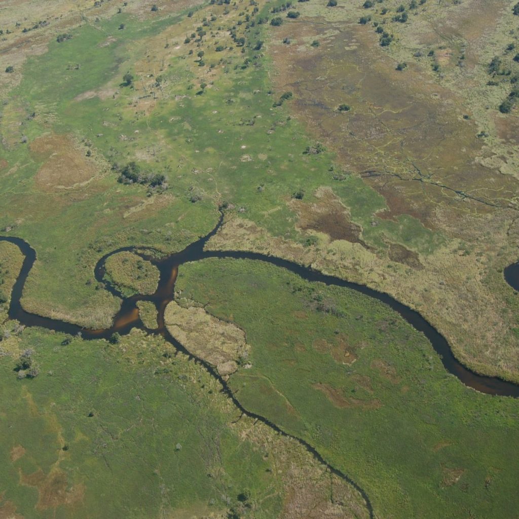 Botswana Safari Turu Afrika