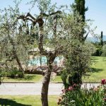 La Casa delle Rose gül bahçesi ve taş süs kuyusu, Toskana agriturismo oteli