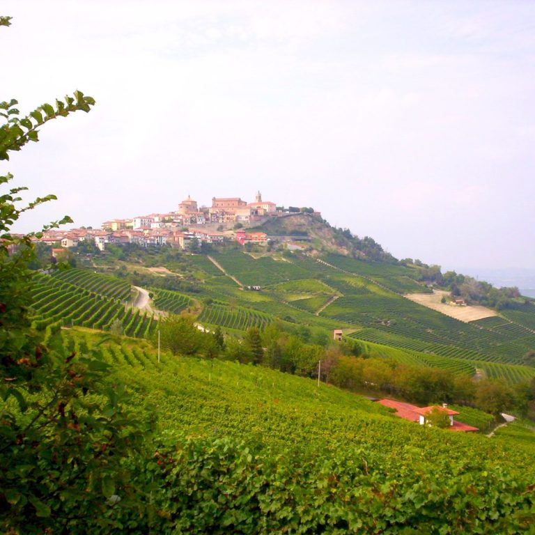 Langhe & Salluzo Turu