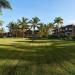 Melia Zanzibar havuzu, villalar ve palmiyeler, Zanzibar oteli