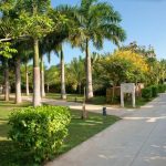 Melia Zanzibar havuzu, palmiyeler ve bahçe, Zanzibar oteli