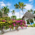 Zanzibar Queen deniz kenarı sahil barı, Matemwe oteli