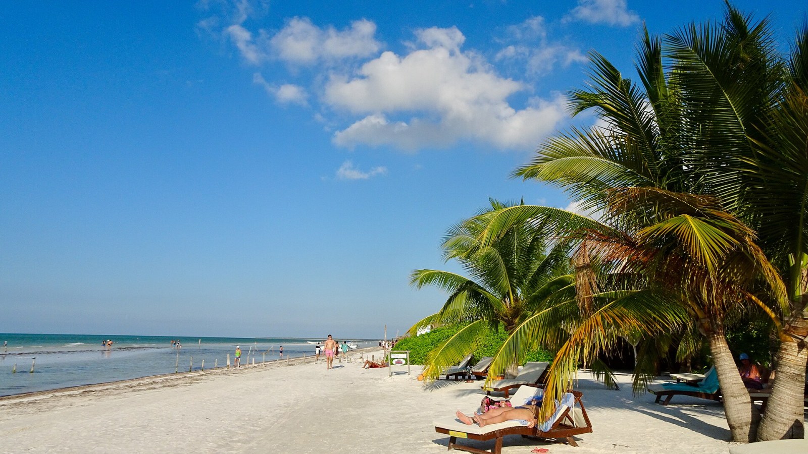 Quintana Roo kıyısında beyaz kum, palmiyeler ve şezlonglar