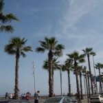 Barcelona maç turunda Akdeniz kıyısındaki Barceloneta Plajı ve palmiyeli sahil şeridi