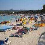 İbiza turunda Cala Bassa koyunun berrak turkuaz denizi ve çamlı kıyısı