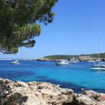 İbiza turunda Cala Bassa koyunun berrak turkuaz denizi ve çamlı kıyısı