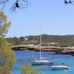 İbiza turunda Cala Bassa koyunun berrak turkuaz denizi ve çamlı kıyısı