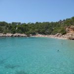 İbiza turunda Cala Salada koyunun kristal berraklığındaki denizi ve kumsalı