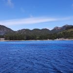 Mallorca turunda Formentor plajının çam gölgeli kıyısı ve arkadaki Tramuntana dağları