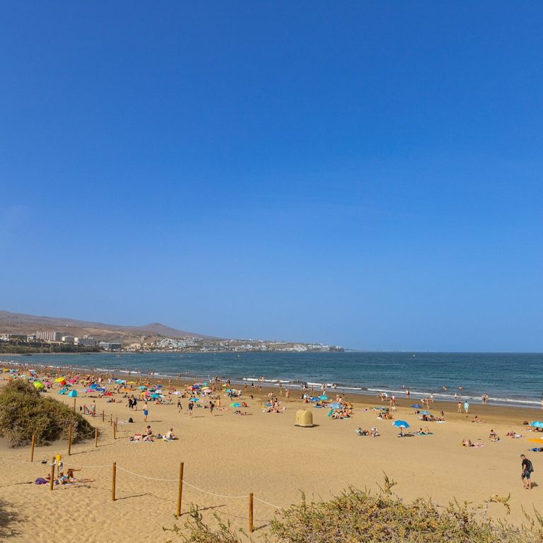 Gran Canaria Maspalomas kumulları ve plajı