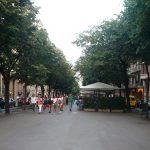 Barcelona Yılbaşı Turu'nda ağaçlı La Rambla caddesi ve iki yanındaki tarihi yapılar