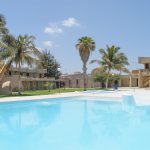 Hotel Oásis Atlântico Praiamar havuzu ve palmiyeler, Praia