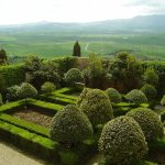 Pienza’da Piccolomini bahçelerinin budanmış çalıları, Toskana