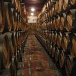 La Rioja şarap mahzeni ve fıçıları