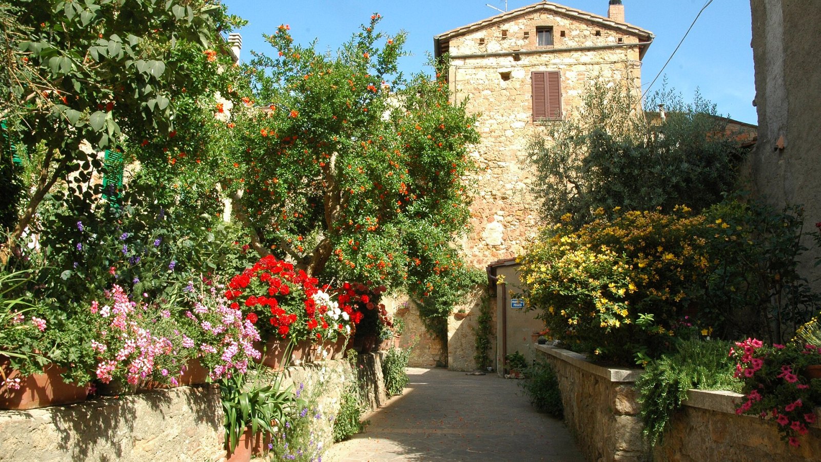 Pienza’da çiçekli taş sokak, Toskana