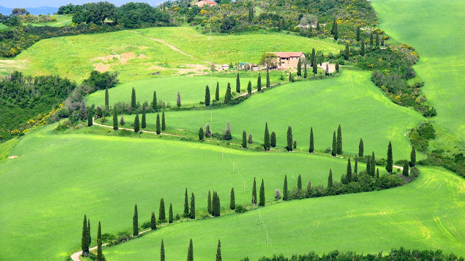 Val d’Orcia’da selvi ağaçlı kır yolu ve yeşil tepeler, Toskana