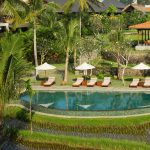 Alaya Resort Ubud havuzu, Bali şemsiyeleri ve şezlonglar
