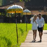 Bali pirinç tarlalarında yürüyüş rotası