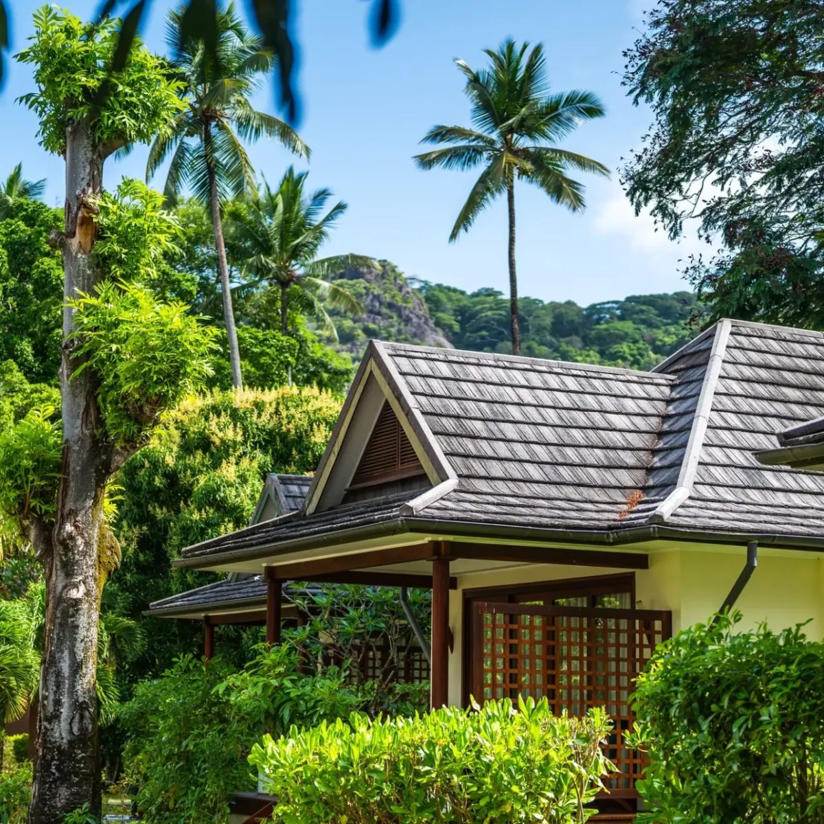 Niva Labriz Seychelles villa ve tropik bahçe Niva Labriz Seychelles villa ve tropik bahçe