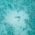 Niva Labriz Seychelles berrak denizi
