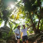 Niva Labriz Seychelles koruma altındaki tropik ormanı