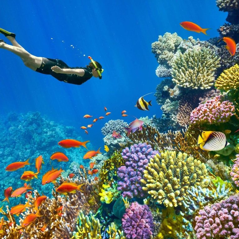 sharm-el-sheikh-06